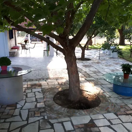 Archaia Ilida Estate Сasa de vacaciones Avyion